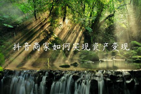 抖音商家如何實(shí)現(xiàn)資產(chǎn)變現(xiàn)